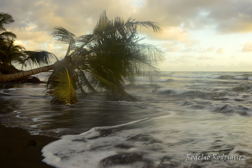 Imagen 2 de la galería de Costa Rica